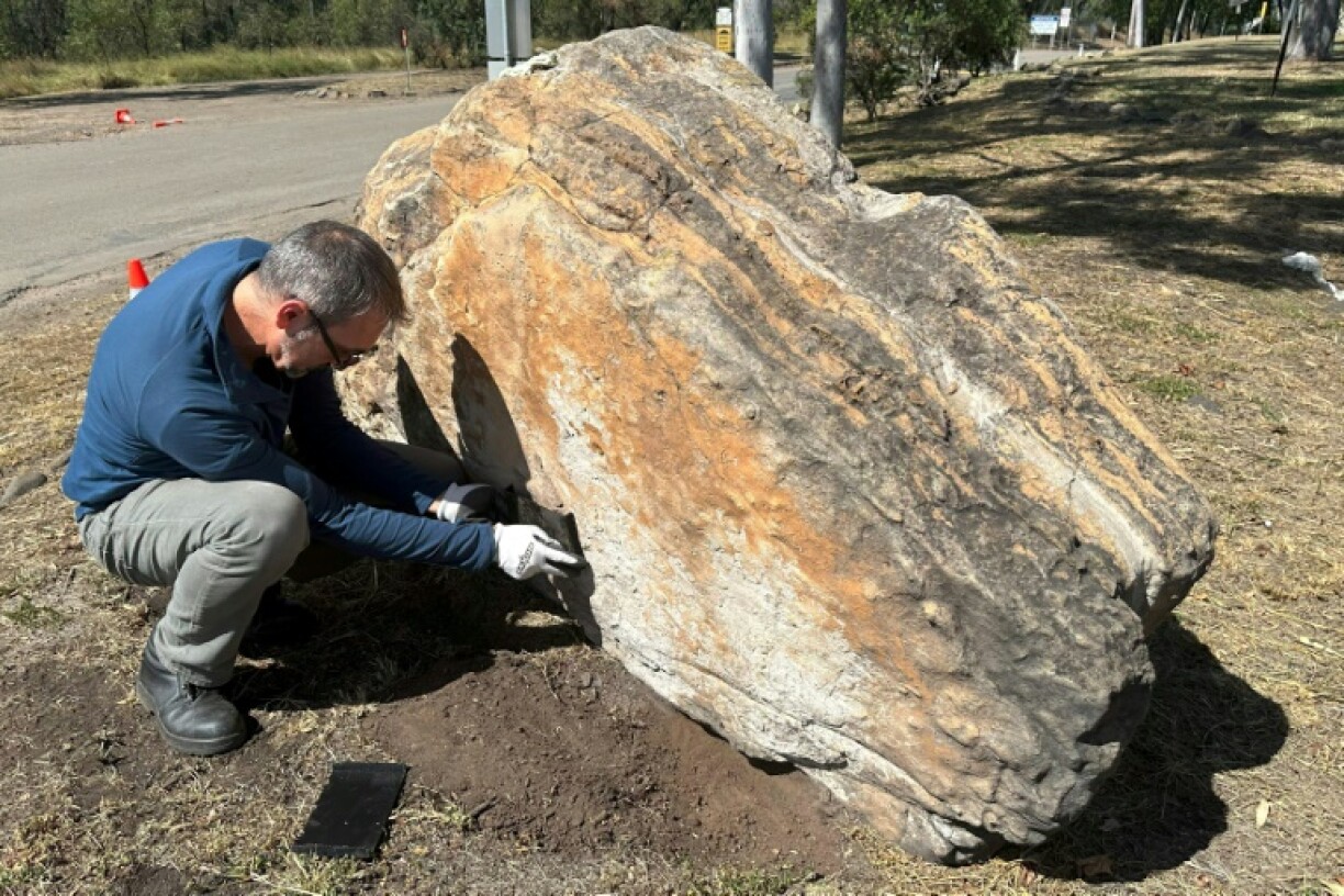 This undated handout photo released by the University of Queensland shows palaeontologist Anthony Romilio inspecting a boulder outside the school which also had a dinosaur footprint