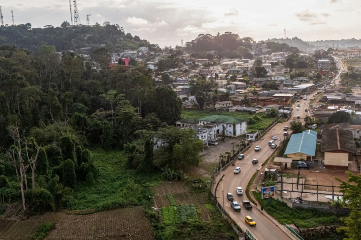Creeping urbanisation is among the threats to Gabon's biodiversity