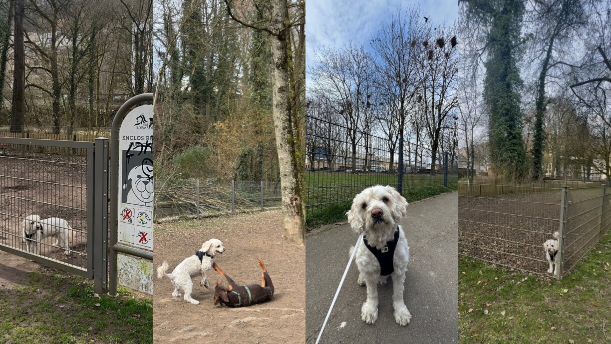 Vegas surely had a lot of fun testing all these parks in one day.