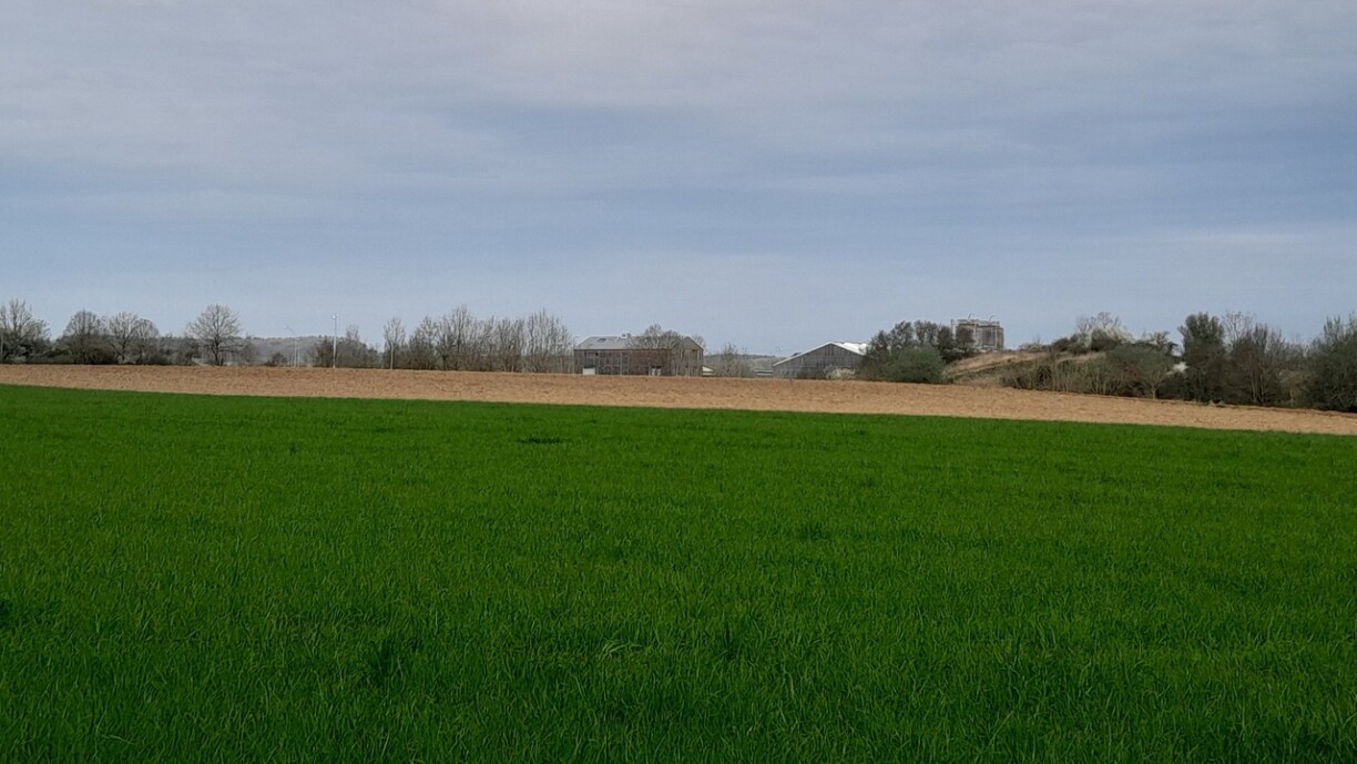 Tëscht dem Ponts et chaussées-Gebai an der aktueller Aktivitéitszone soll den Zamid entstoen.