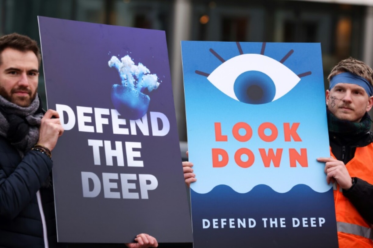 Activists and NGOs are concerned about the impact of deep-sea mining, citing the environmental destruction it results in