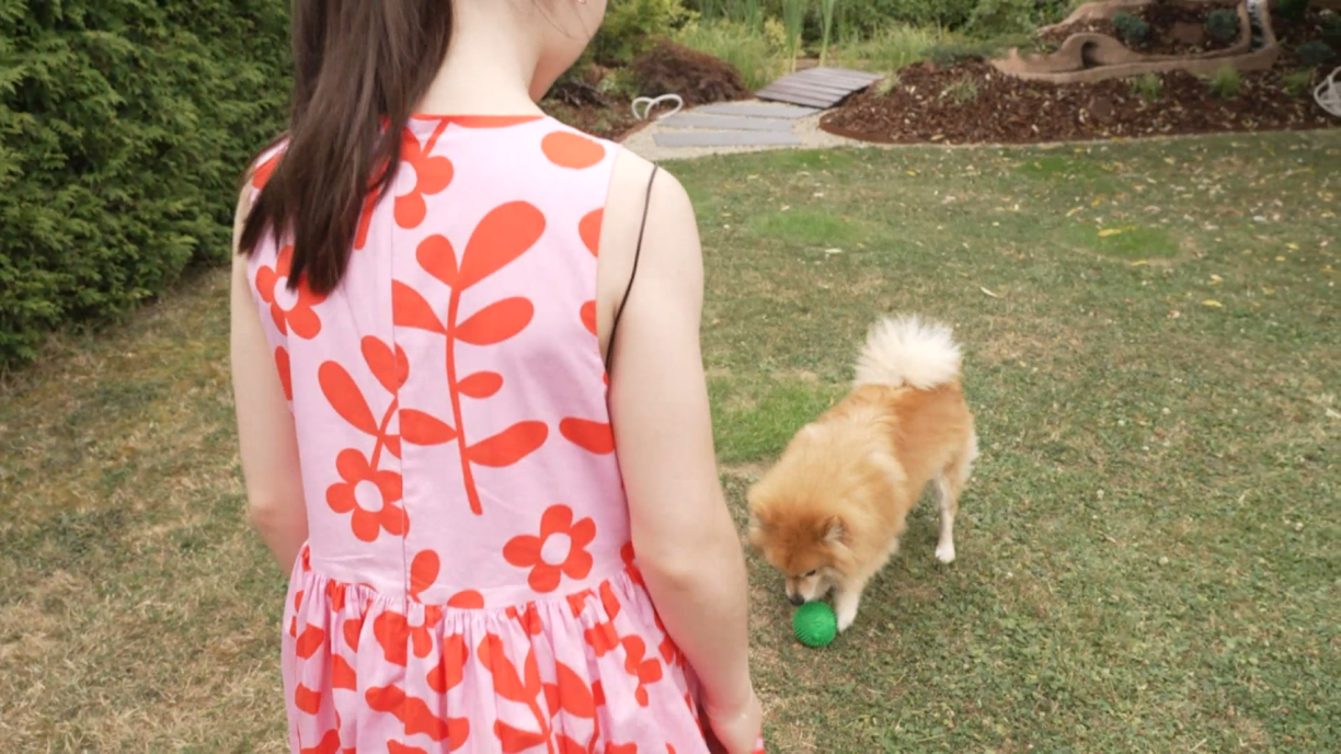 Eloisa likes playing the violin and the piano, painting and doing crafts, playing with her dog Foxy, and rollerblading.