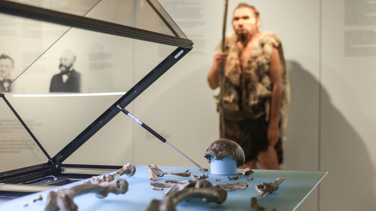 Eng Figur vun engem Neandertaler virun Neandertaler-Schanken