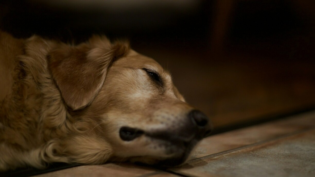 Photo d'illustration