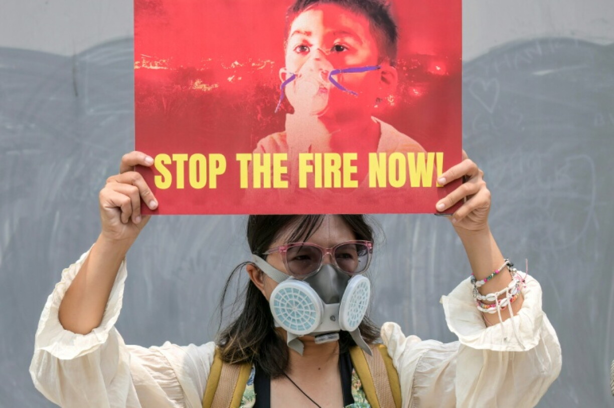 Demonstrators demanded an audit of supply chains linked to Indonesian forest fires