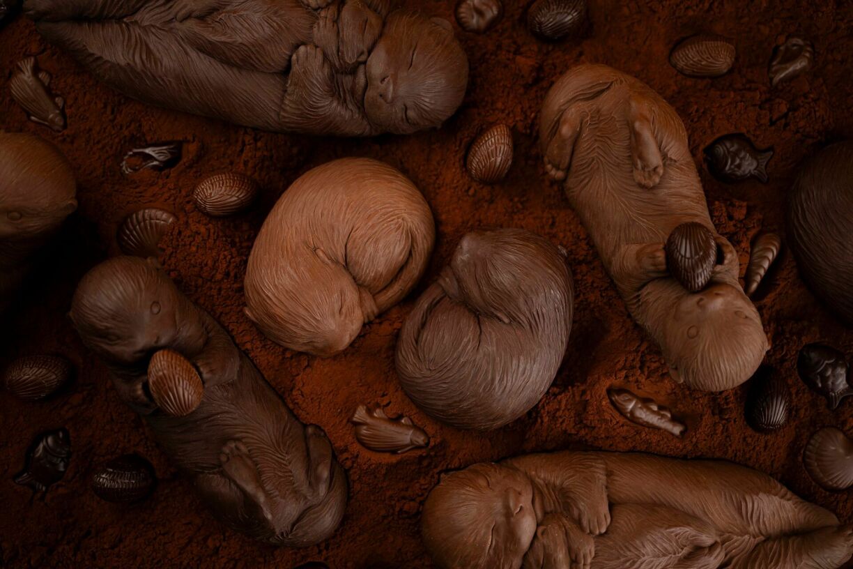 Les loutres du jeune chocolatier William Artigue sont sans doute les sujets de Pâques les plus mignons de cette collection 2024.