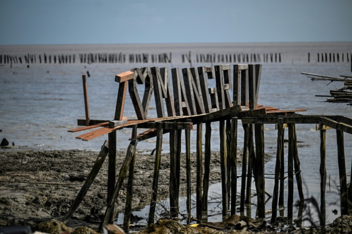 A mangrove restoration project failed to hold back rising seas outside Suriname's capital Paramaribo