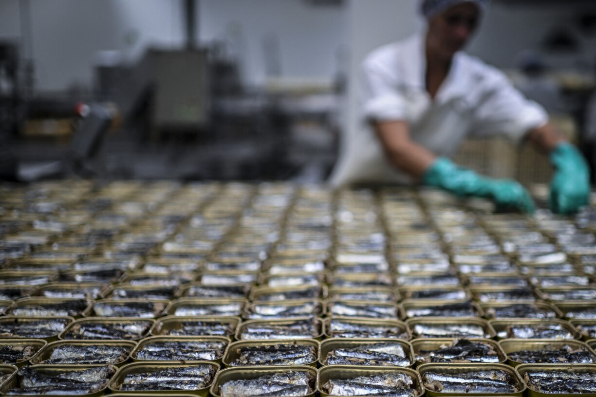 Une usine de mise en boîte de sardines à Peniche au Portugal.