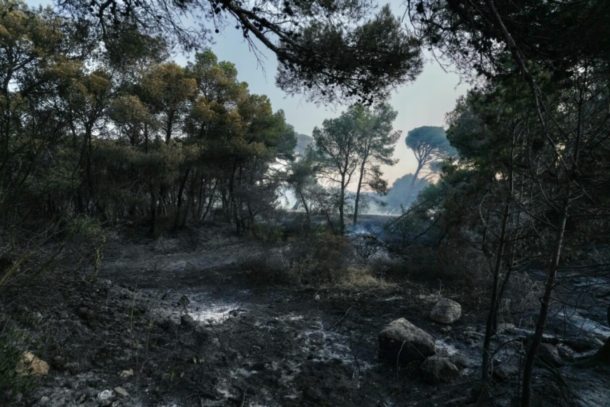 'I've never seen anything like it,' said one resident in Prat-de-Cest