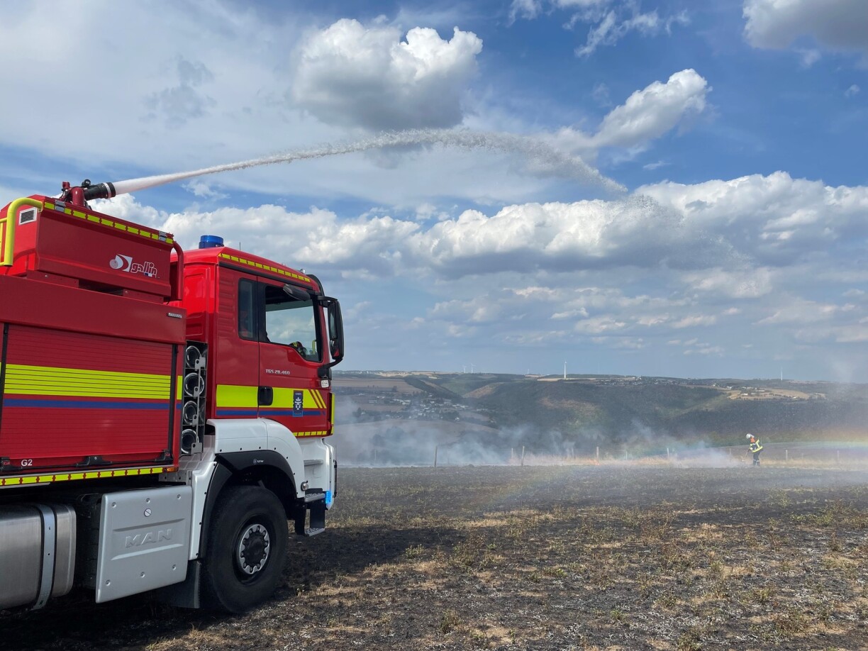 Image d'illustration