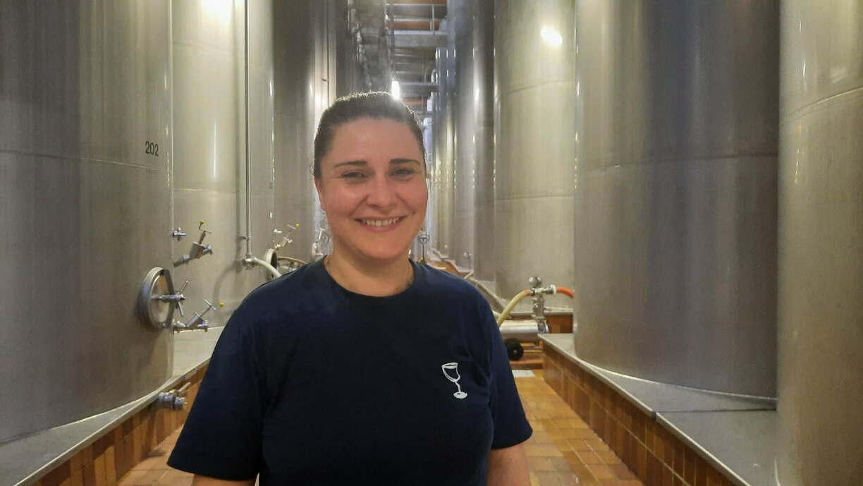 "Normalement, on rentre 3,5 millions de litres dans nos caves, pour ces vendanges on sera aux alentours de 2,5 millions de litres", estime Charlène Muller, cheffe caviste chez Vinsmoselle à Wellenstein.