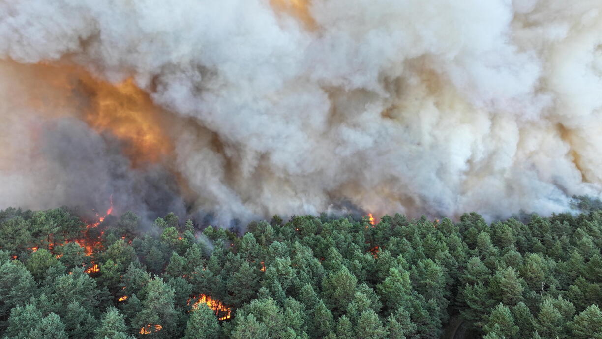 Foto vum Brand am Bësch zu Fontainebleau den 12. Juli 2026.