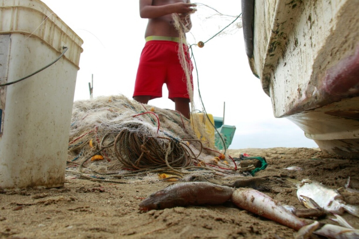 Ecuadoran fishermen are used to netting big tuna like albacore and bonito but as El Nino turns up the heat are finding only small specimens in their half-empty nets