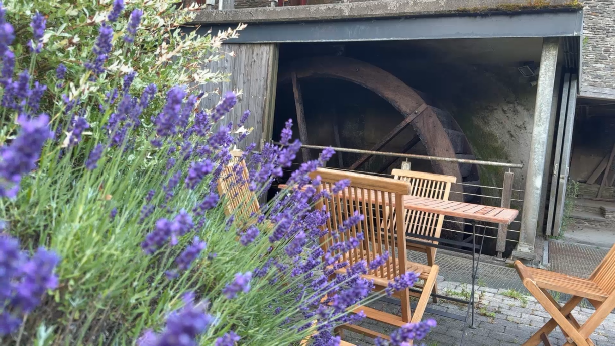 Cette roue peut fournir une grande partie de l'énergie pour faire tourner à la fois les fours de la boulangerie que les outils de la meunerie.