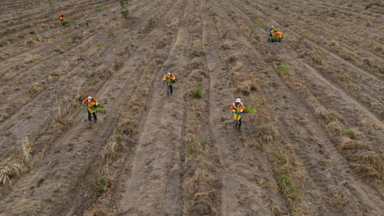 Conservation efforts can have unintended consequences but experts say these are rarely considered or even properly understood