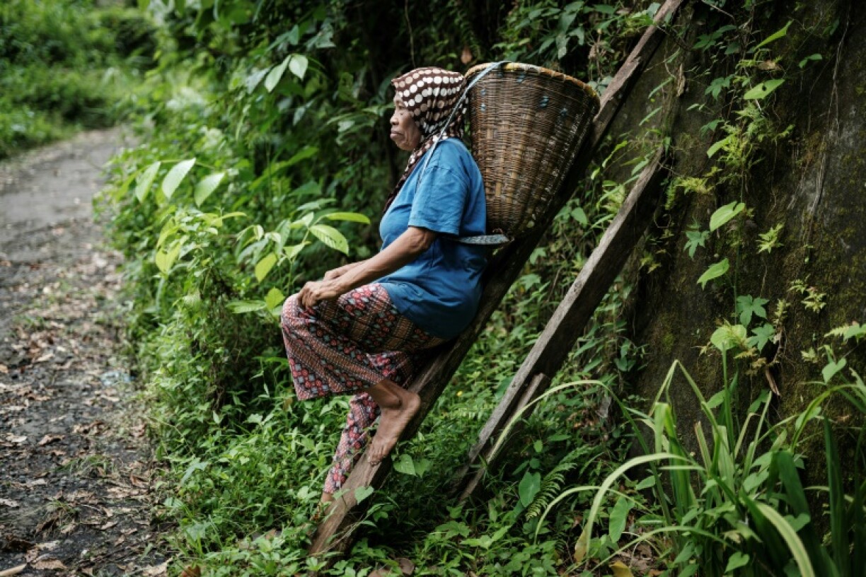 A clove farmer rests in Ternate, North Maluku