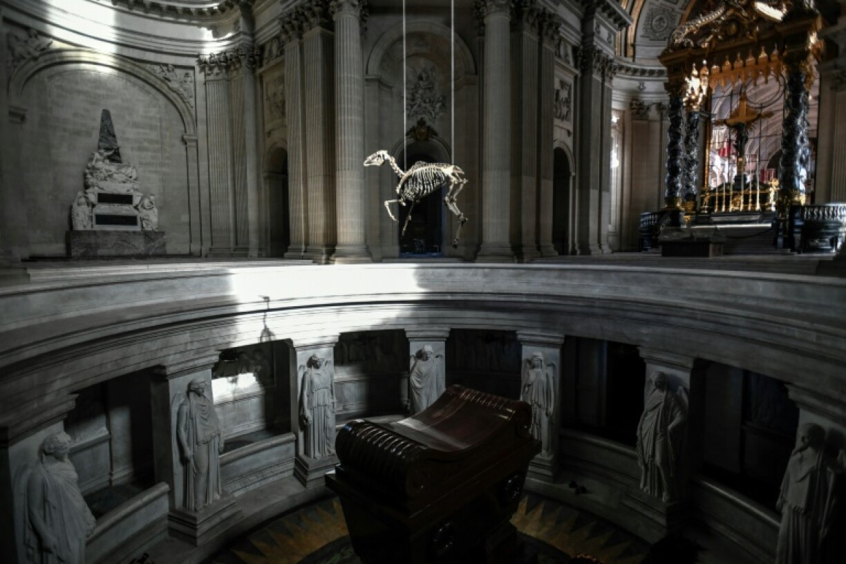 Une reproduction en 3D du squelette du cheval préféré de Napoléon, Marengo, de l'artiste Pascal Convert, suspendue au-dessus du tombeau de Napoléon aux Invalides, le 7 mai 2021 à Paris