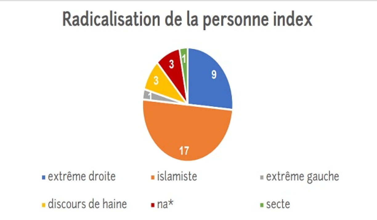 Les différentes formes de radicalisation sur lesquelles Respect.lu est intervenue en 2020.
