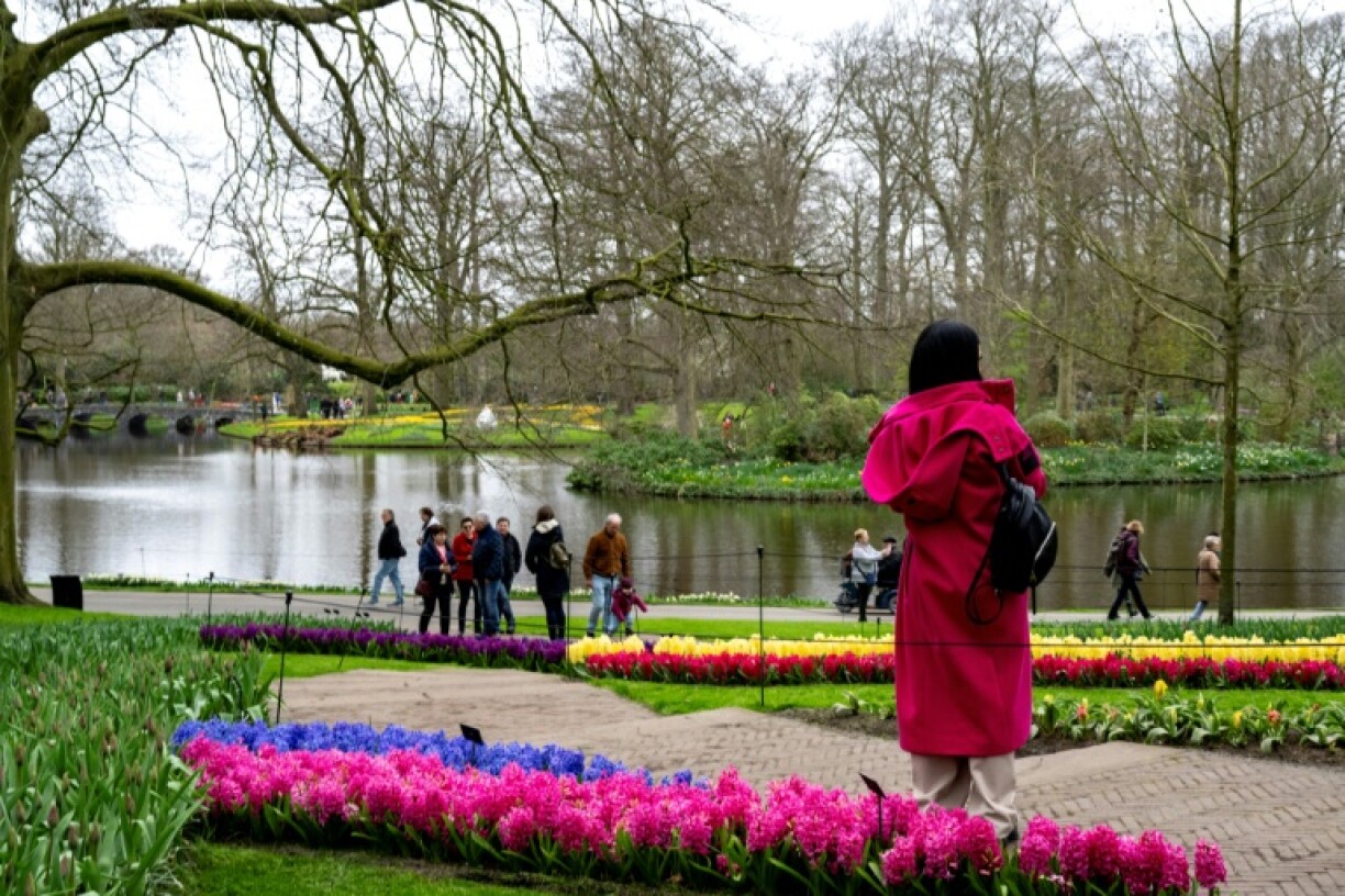 Des visiteurs dans le jardin de Keukenhof, à Lisse, le 21 mars 2024 aux Pays-Bas