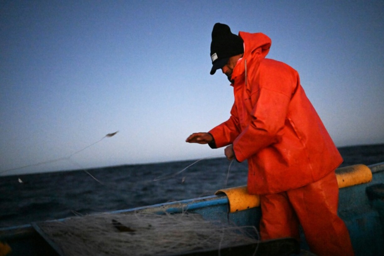 Chilean fisherman Rodrigo Gallardo used to fill his trawler with hake but these days he reels in few of the country's favorite catch