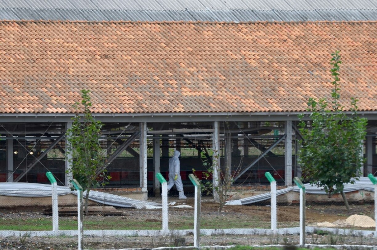 This May 17, 2025 image shows the grounds of the commercial poultry farm in Brazil's Rio Grande do Sul state that saw an outbreak of