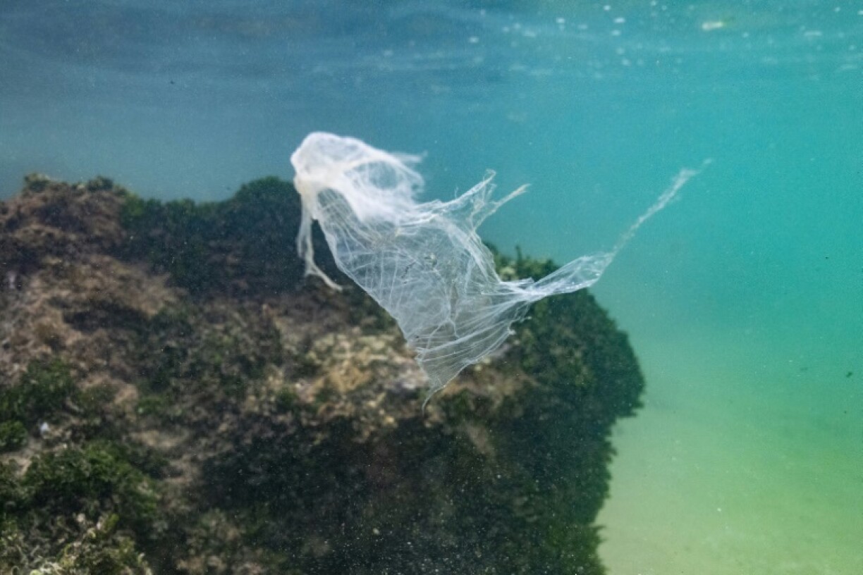 Countries have been negotiating a global treaty to address a torrent of plastic entering the environment, including the oceans.