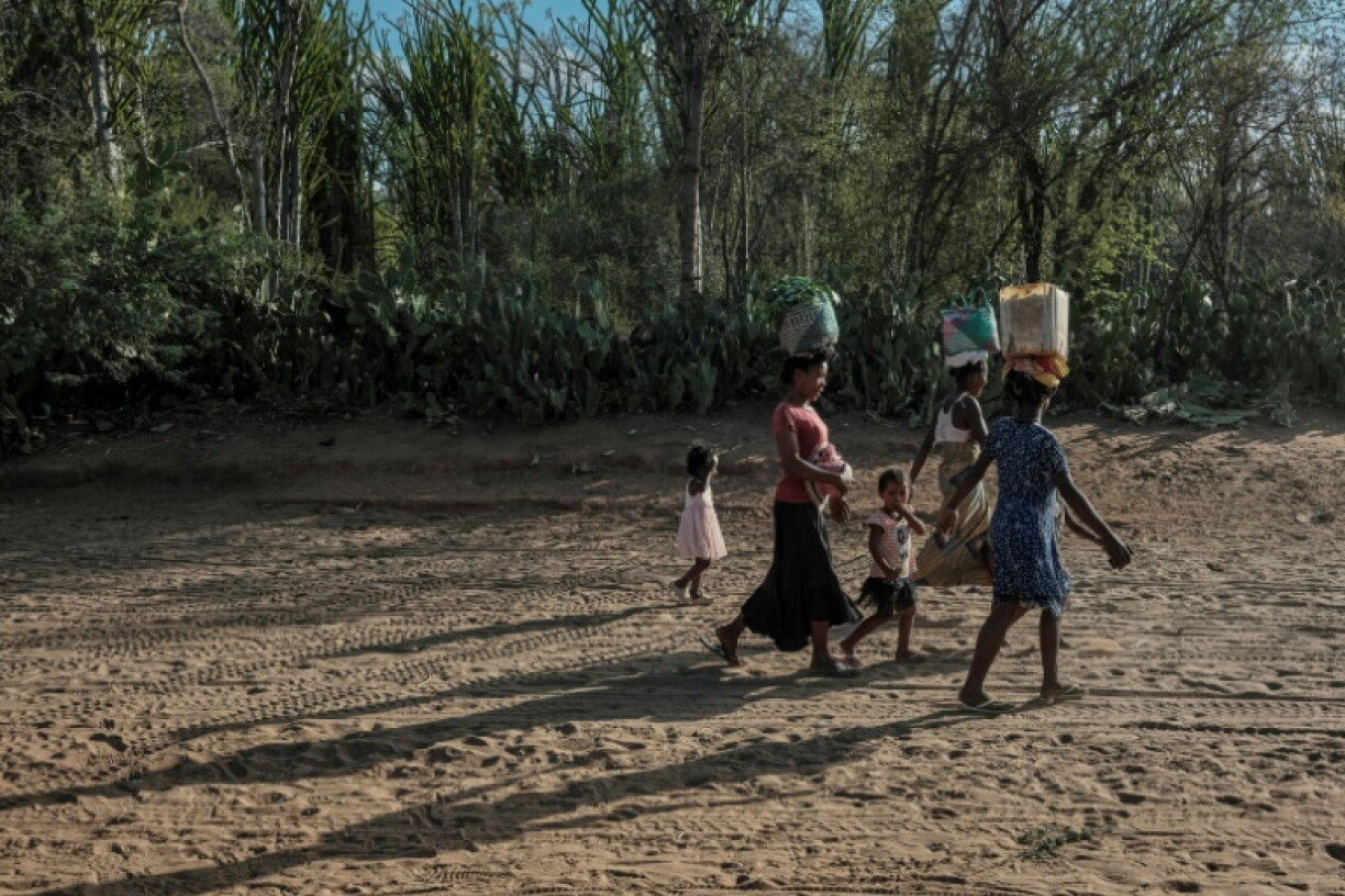 A 2021–2022 famine in southern Madagascar was described by the United Nations at the time as the first in the world caused by climate change