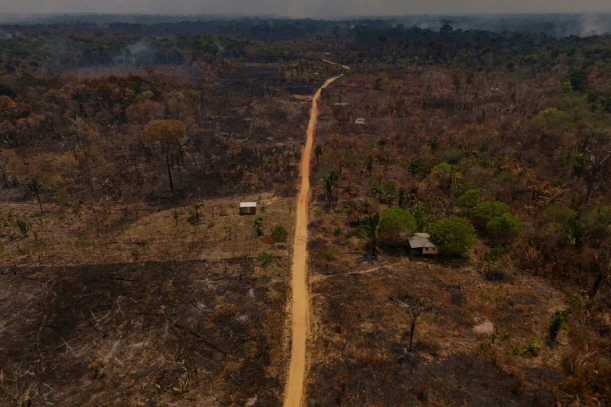 Fires in the Amazon in October 2026 so far are occurring at almost double the rate as in October 2025