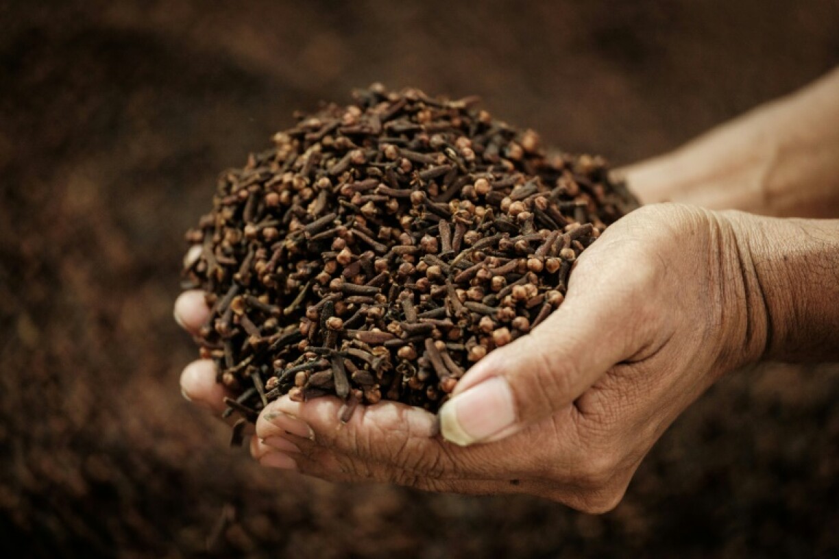 Indonesian farmers say the crop's gravest threat is climate change