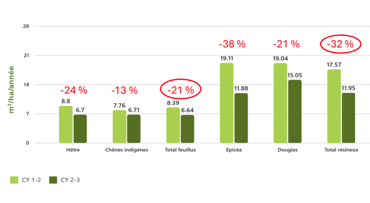 Evolution de l'accroissement des arbres. Entre 2010 et 2023, les arbres ont poussé 25 % moins vite au Luxembourg qu'entre 2000 et 2010.