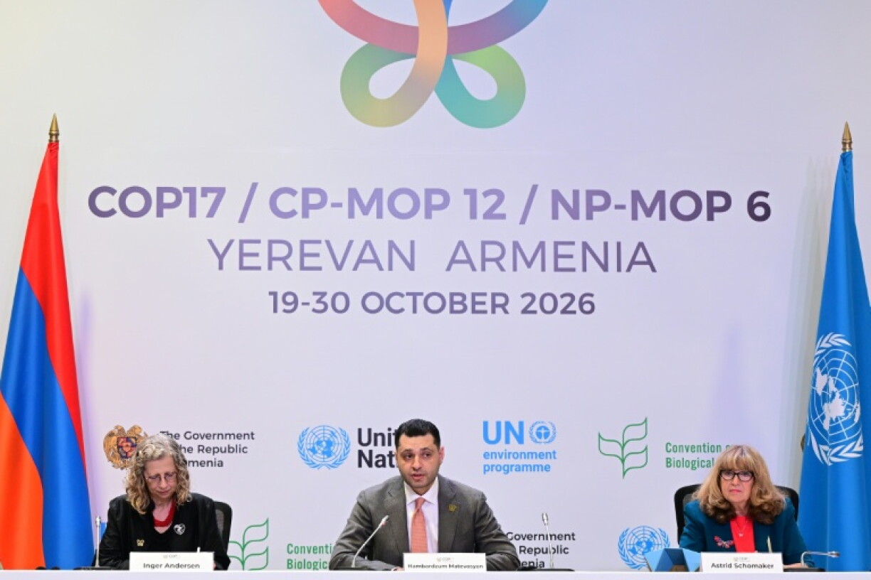 The UN biodiversity summit in Armenia is taking stock of progress toward a global pledge for nature made in 2022.