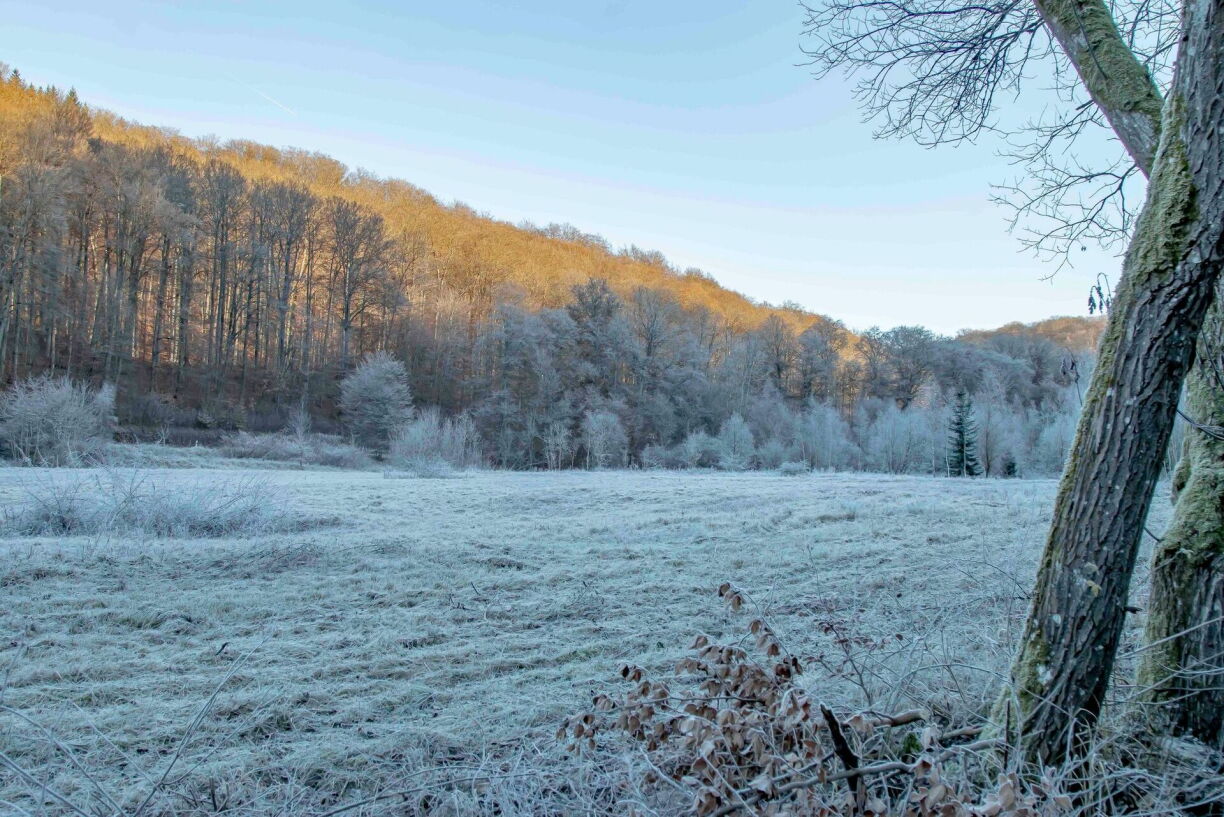 Cet hiver, une fois encore, ne ressemble pas aux hivers d'antan, avec peu de neige et des températures anormalement douces.