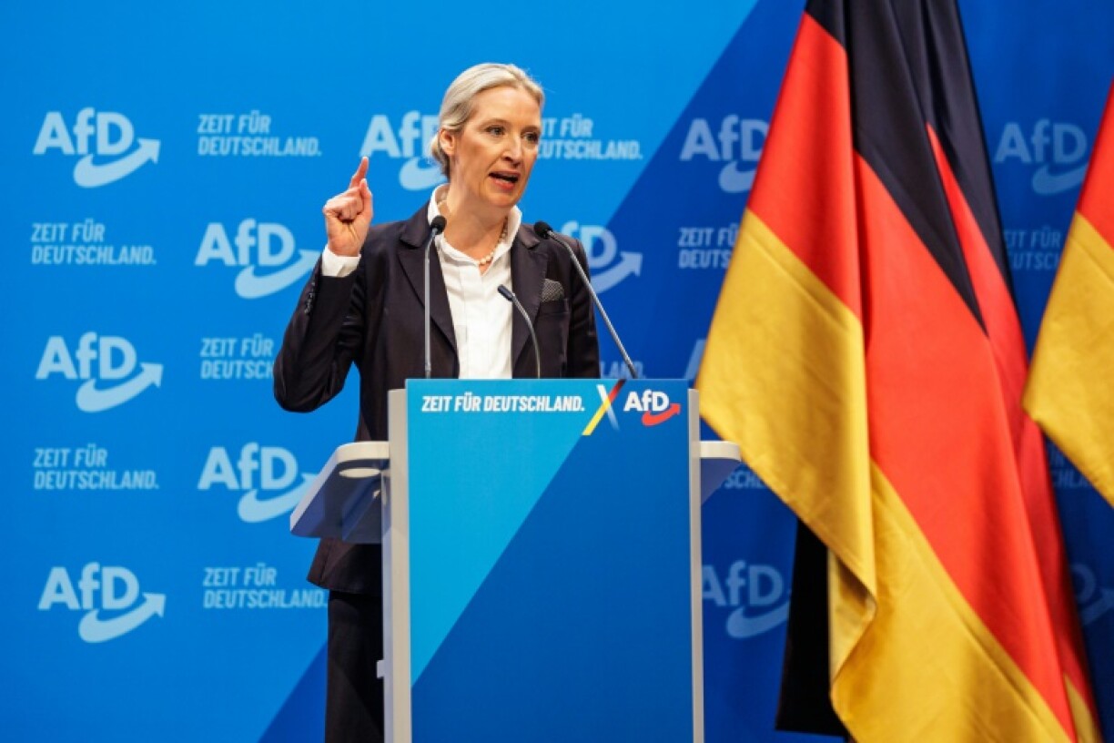 Alice Weidel, top candidate of the far-right Alternative for Germany, calls for the 'total closing of Germany's borders' and 'large-scale repatriations' of irregular immigrants