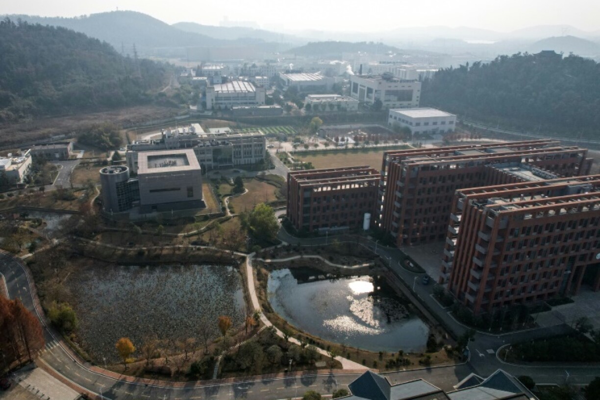 Proponents of the lab-leak hypothesis highlight that the earliest known Covid-19 cases emerged in Wuhan, China -- home to the Wuhan Institute of Virology (WIV), a major hub for coronavirus research