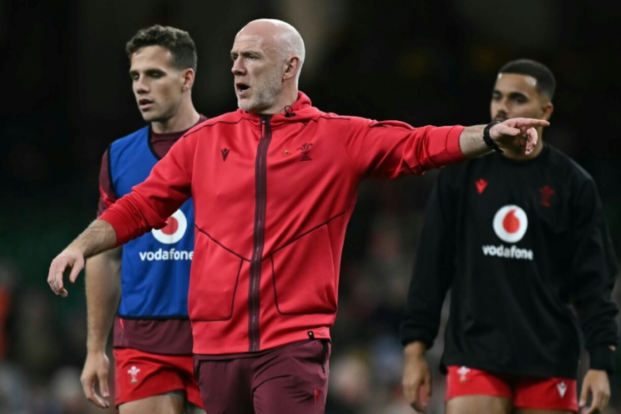 Steve Tandy was appointed Wales head coach in July