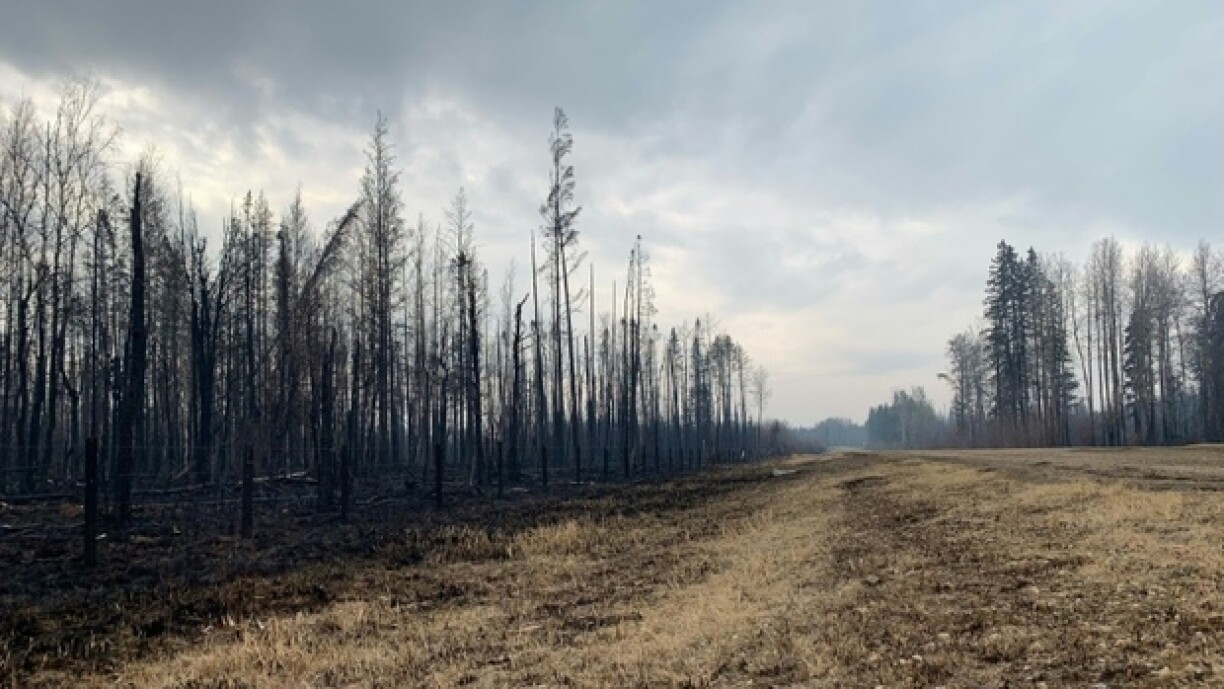Autour d'Entwistle dans la province canadienne de l'Alberta, plusieurs feux sont hors de contrôle depuis plusieurs jours, le 9 mai 2023.