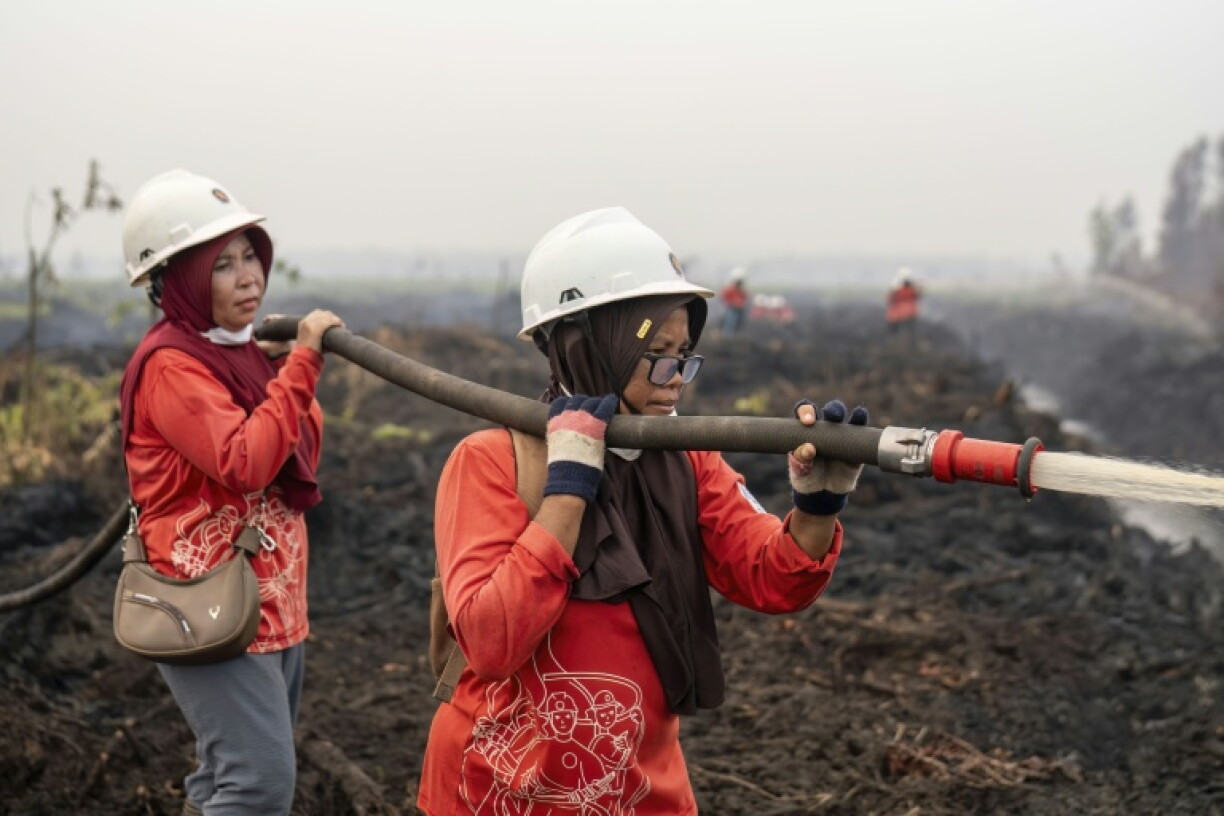 Wildfires in Indonesia are blamed in large part on slash-and-burn land-clearing practices that result in the destruction of fire-resistant forest cover and the draining of peatlands