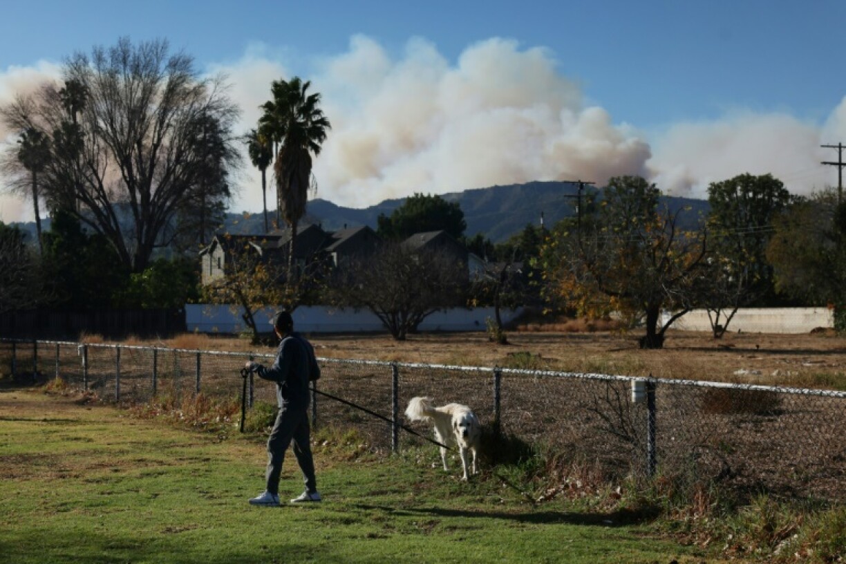 Experts say animals will suffer from the poor air quality around the Los Angeles fires