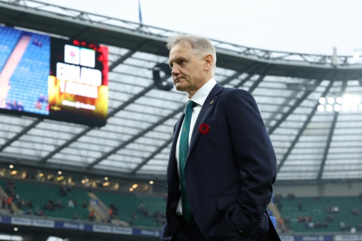 Joe Schmidt restored some pride with eyecatching wins on the northern hemisphere tour over England and Wales in November