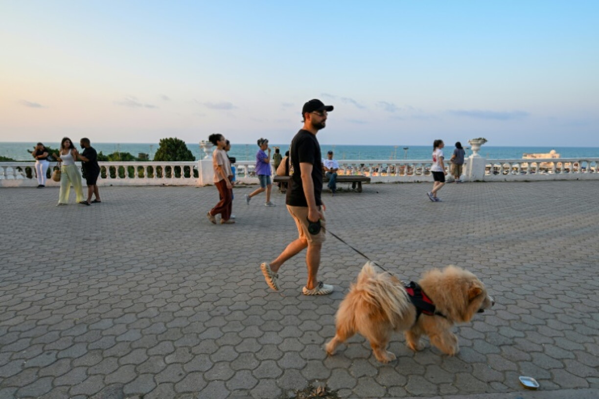 Desk promeneurs à La Marzsa, près de Tunis, le 28 juillet 2026 en Tunisie