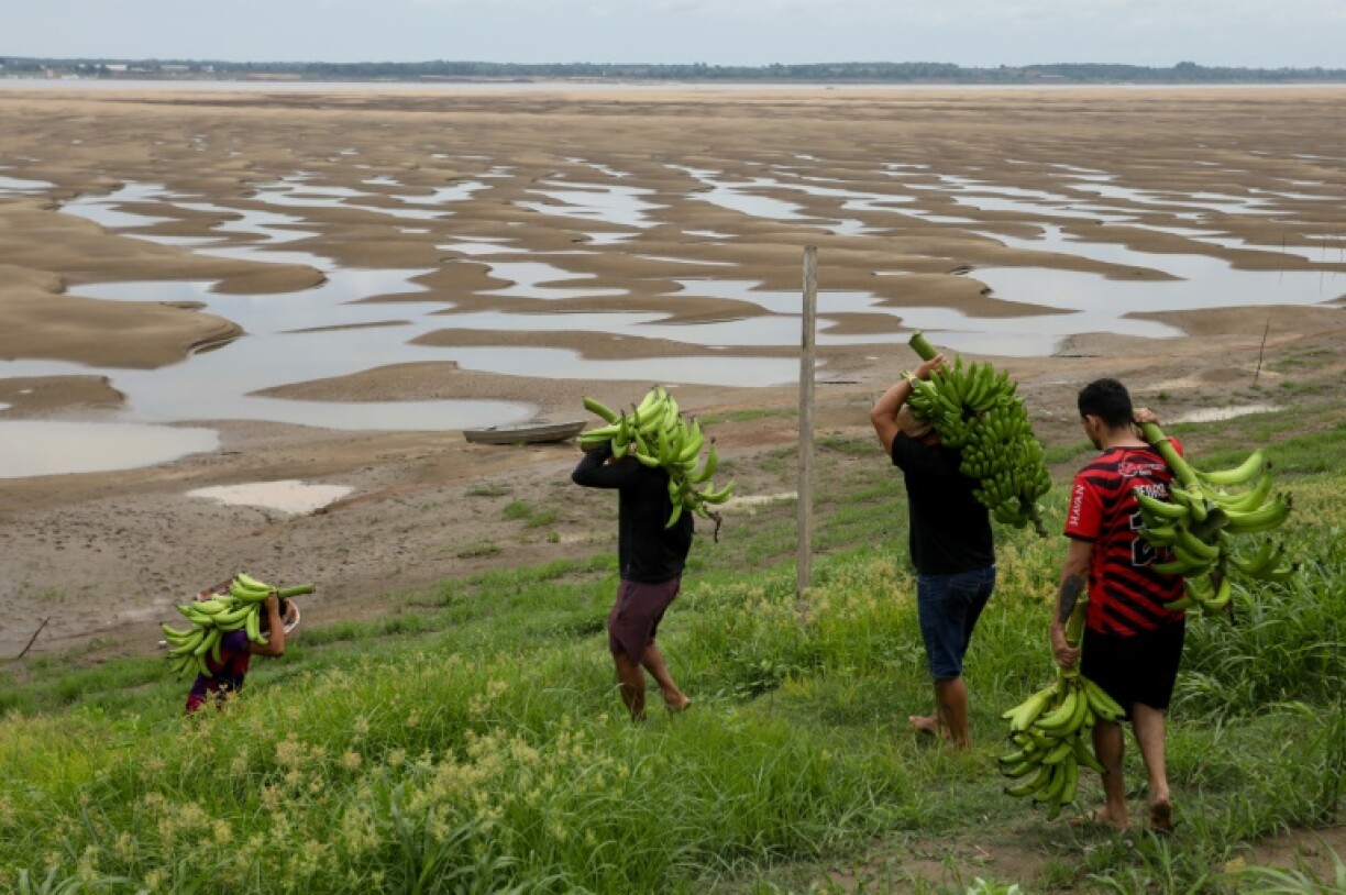 Researchers AFP spoke to said the effects of heat on economies of countries near the tropics is magnified, like the riverbank dwellers carrying banana produce in northern Brazil