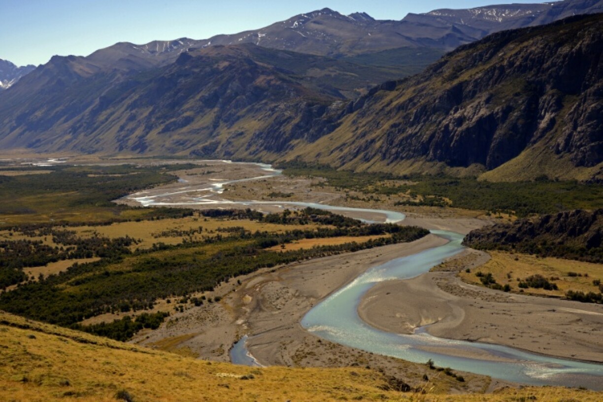 Ein deutsch-argentinisches Forscherteam hat in Patagonien einen neuen Langhalssaurier entdeckt. Der Dinosaurier namens Bicharracosaurus dionidei aus der oberen Jurazeit lebte vor rund 155 Millionen Jahren.