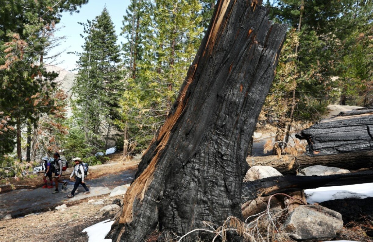 The 2020 Bobcat Fire damaged tens of thousands of acres (hectares) of US Forest Service land, leading to the closure of trails and campgrounds