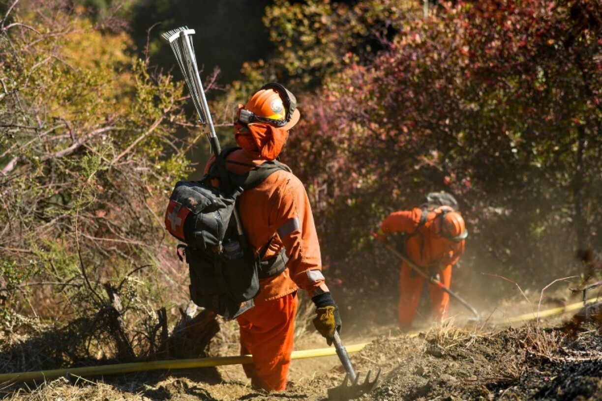 More than 900 inmates are working alongside firefighters in the battle to tame wildfires in Los Angeles