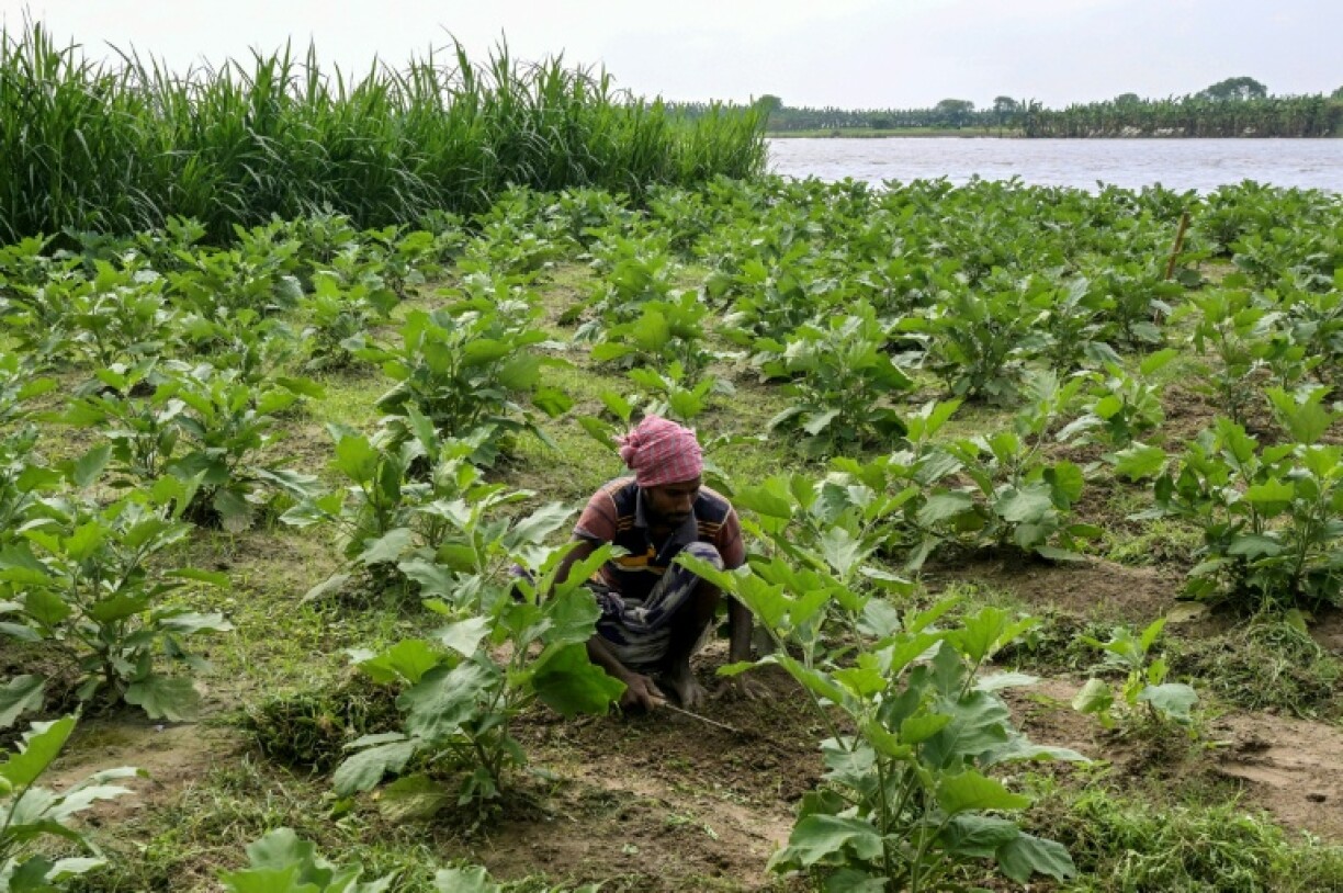 Bangladesh -- among the nations most vulnerable to climate change -- has seen nearly 15,000 snakebite admissions this year, with 84 deaths reported so far