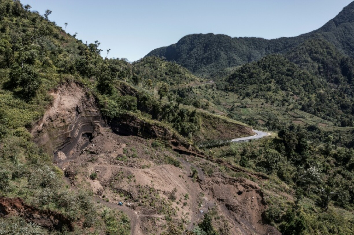 Comoros lost 80 percent of its natural forests between 1995 and 2014, its environment minister says