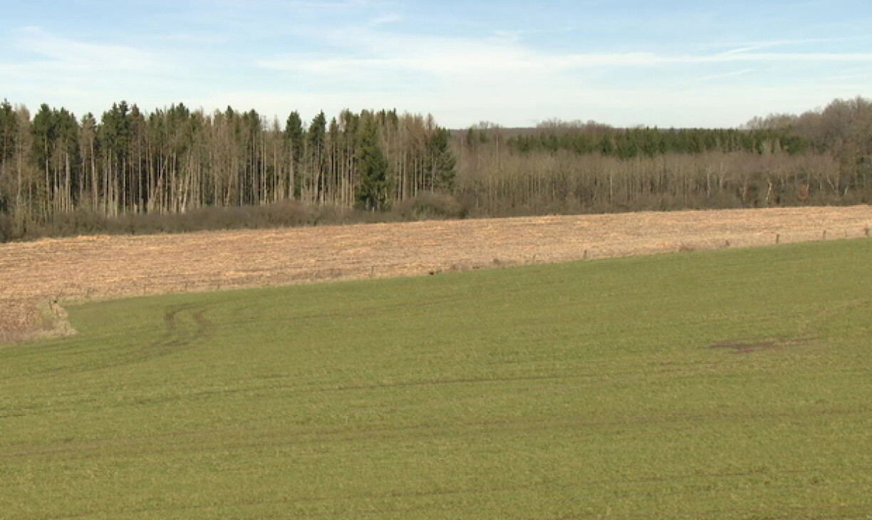 Den Terrain, wou den Datenzenter vu Google zu Biissen kéint opgeriicht ginn.
