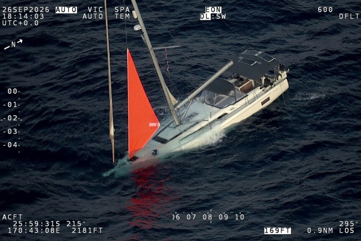 Four sailors were rescued after a sperm whale struck their yacht in the South Pacific