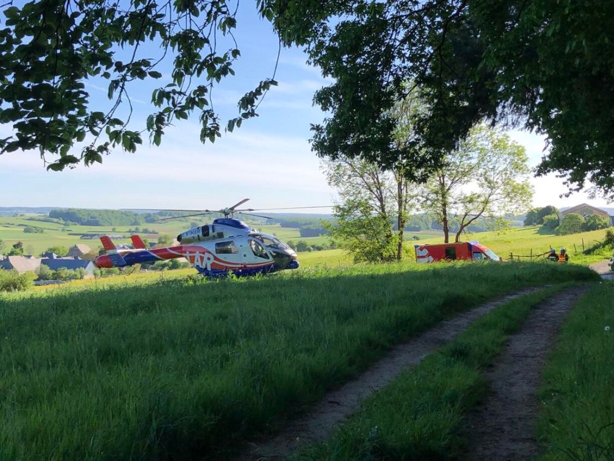 Image d'illustration