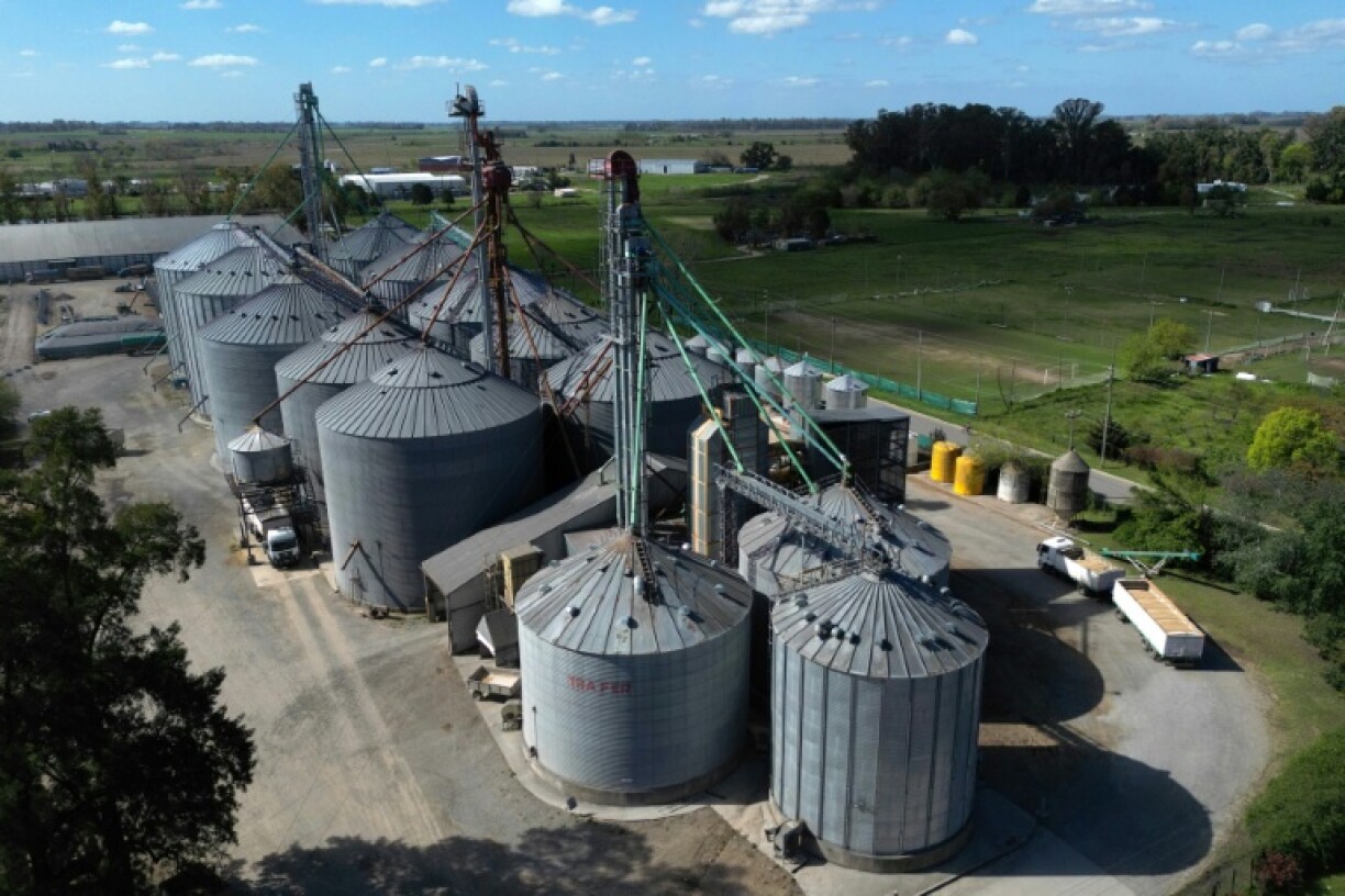 The farming town of San Andres de Giles in Buenos Aires province, voted for Javier Milei in 2023 but that enthusiasm has faded